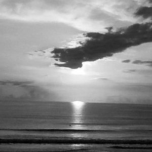 Meet your Posher, Greg